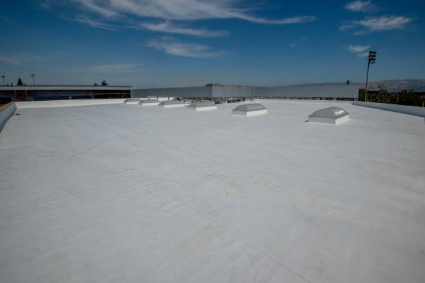 Best Solar Panel Roofing Installation  in Homeland Park, SC