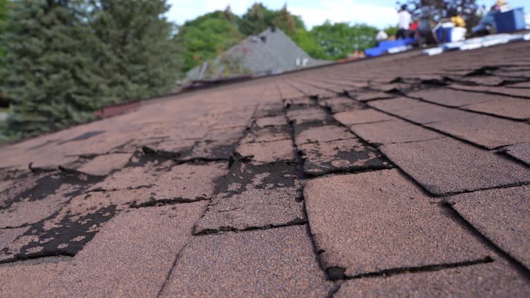 Best Roof Ventilation Installation  in Homeland Park, SC