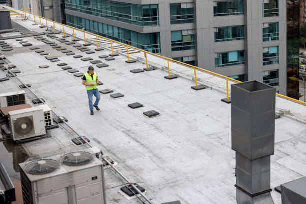 Best Roof Insulation Installation  in Homeland Park, SC
