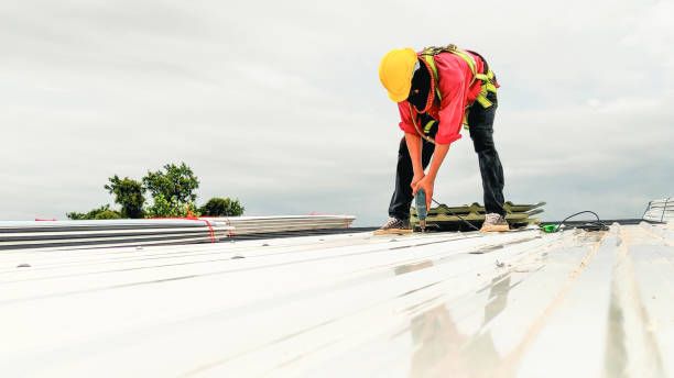 Best Flat Roofing  in Homeland Park, SC