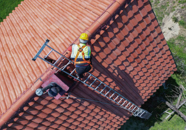 Best Roof Coating and Sealing  in Homeland Park, SC
