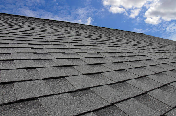 Best Green or Eco-Friendly Roofing Solutions  in Homeland Park, SC