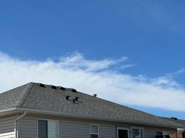 Best Rubber Roofing (EPDM, TPO)  in Homeland Park, SC